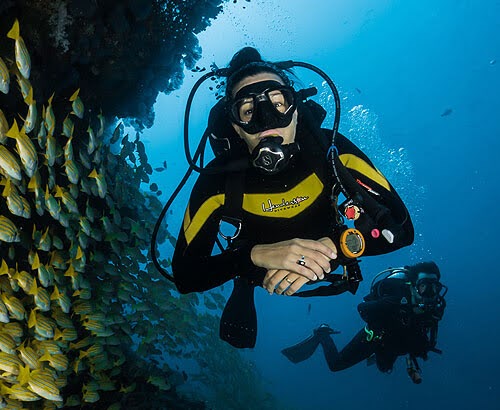 Dive Liveaboard in Maldives