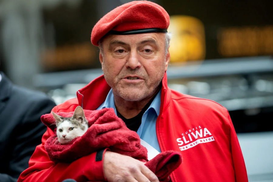 curtis sliwa net worth